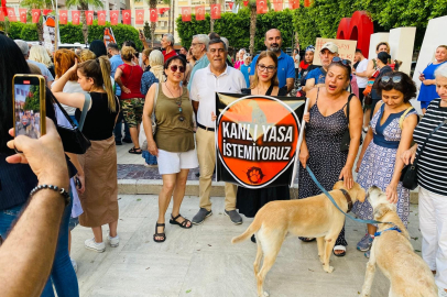 Adana’da hayvanseverler ve sivil toplum kuruluşlarından sokak hayvanları yasasına tepki