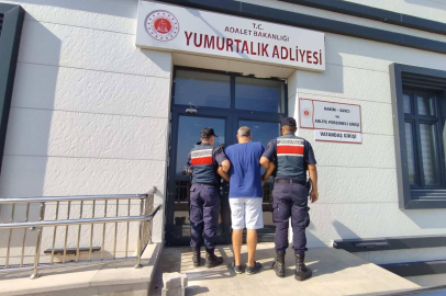 Adana Jandarma Komutanlığı tarafından yapılan operasyonda aranan 2 kişi  yakalandı