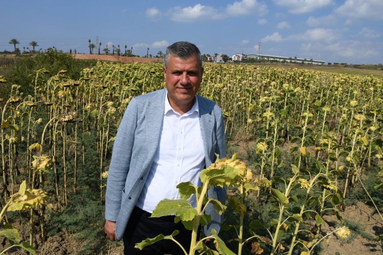 Türkiye Büyük Millet Meclisi 