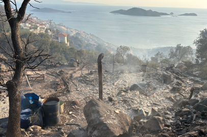 İzmir'deki yangında bir bağ evi kül oldu