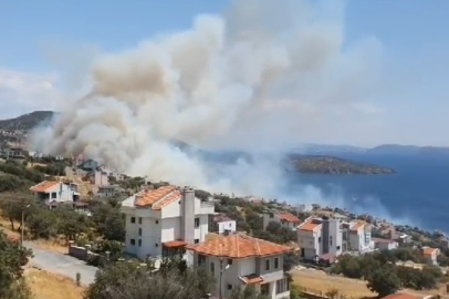 İzmir Dikili'de çıkan orman yangını yerleşim yerine sıçrıyor