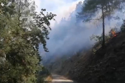 Kahramanmaraş'ta çıkan orman yangınına müdahale ediliyor