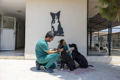 Mersin'de gençlik hastalığına yakalanan "Rüzgar" ve "Zeytin" sağlığına kavuştu