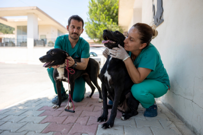 Rüzgar ve Zeytin, özel bakımla yaşama tutundu