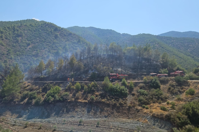 Hatay'daki orman yangını kontrol altına alındı