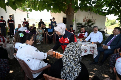 Osmaniye'de kapalı alan gülleri hasat edildi