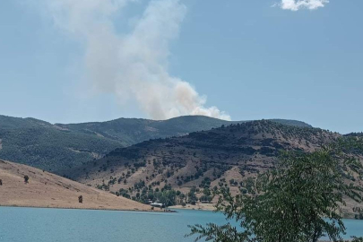 Tunceli’de orman yangını çıktı