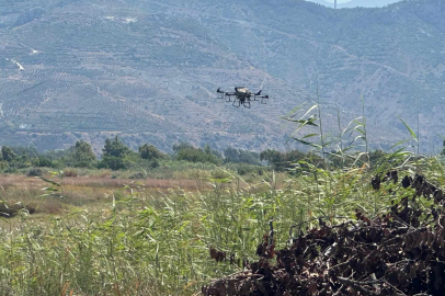 Samandağ'da haşereyle mücadele kapsamında dronla ilaçlama yapıldı