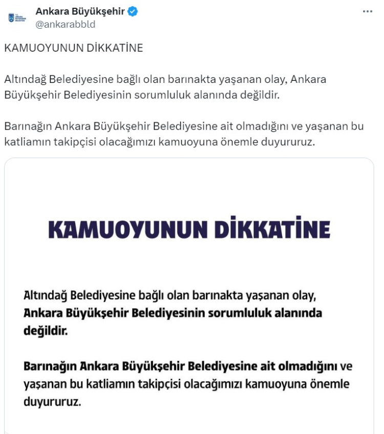 altındağ belediyesi sokak hayvanları