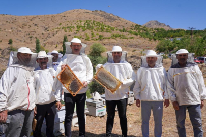 Türkiye'nin en çok bal üreten ikinci ili Adana'da bal hasadı başladı