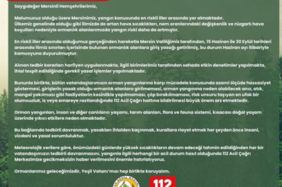 Vali Pehlivan, vatandaşları orman yangınlarına karşı duyarlı olmaya çağırdı