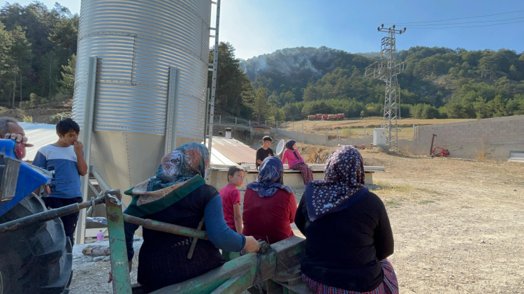 bolu orman yangını