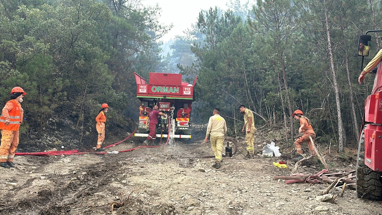 Tarım ve Orman Bakanı 