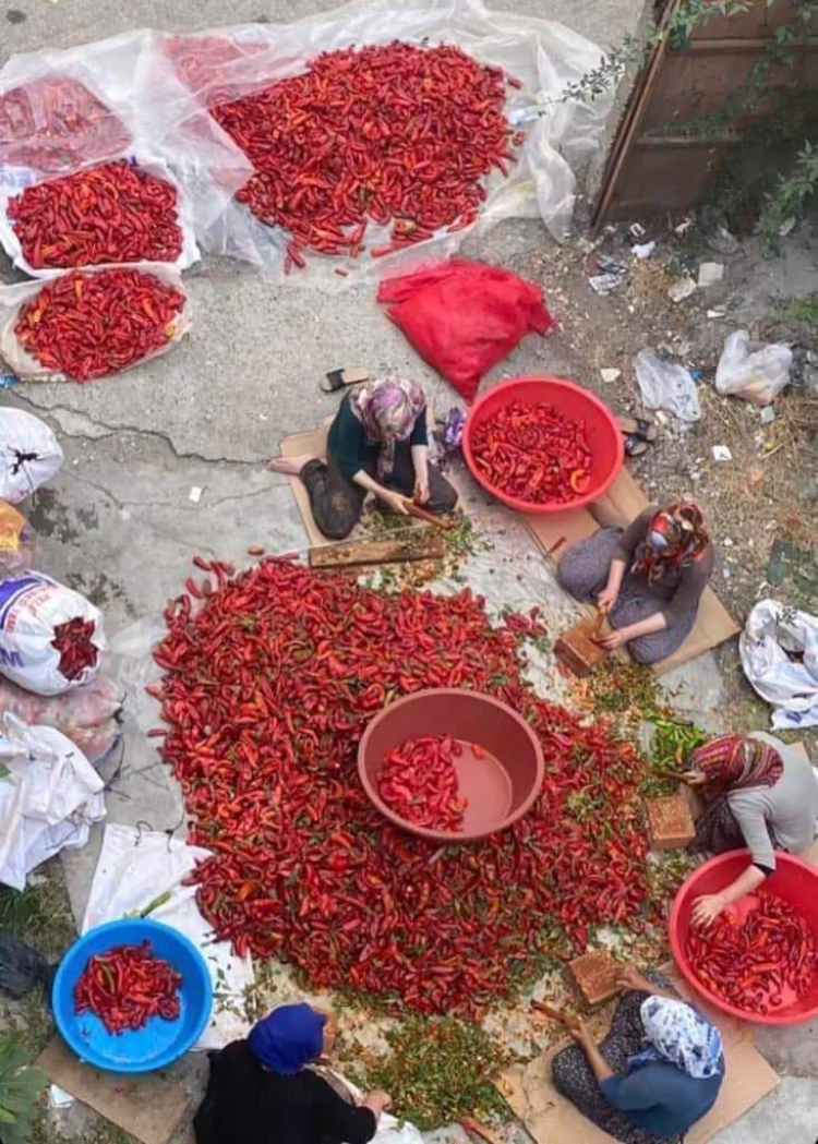 Adana'da salçalar kurutulmaya başlandı Damlar kırmızıya büründü 4