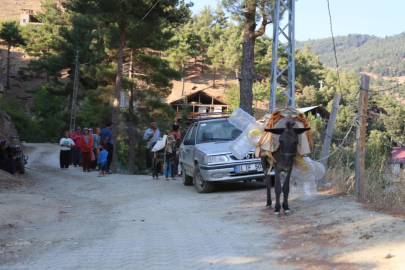 Adana'nın Eğrikol bölgesi 21 yıldır susuz: Vatandaşlar eşeklerle su taşıyor