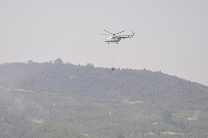 Manisa ve Uşak'taki orman yangınları kontrol altına alındı