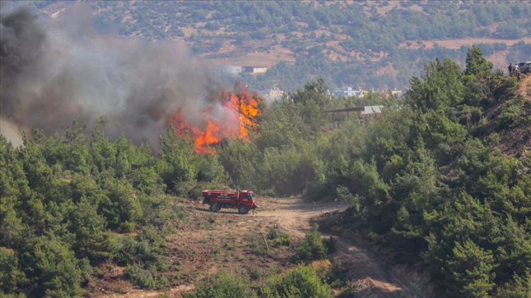 Tarım ve Orman Bakanı 