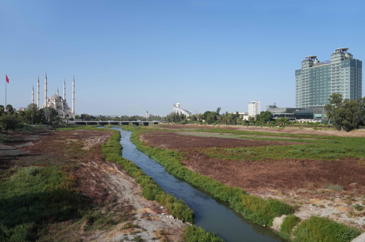 seyhan nehri yosun