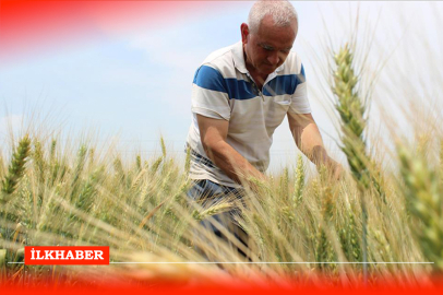 2024 yılı tarımsal destekler Resmî Gazete’de yayımlandı: İşte çiftçilere verilecek destekler