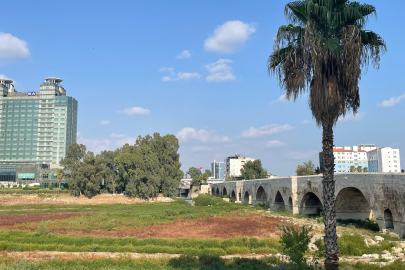 Adana'da Seyhan Nehri yosun kapladı: Su kesintisi kötü kokuya yol açtı