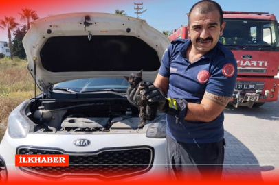 Hatay’da itfaiye ekipleri, park halindeki aracın motorunda mahsur kalan yavru kediyi kurtardı