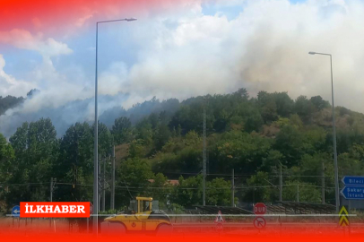 Bilecik'in Demirköy köyünde otluk alanda yangın çıktı