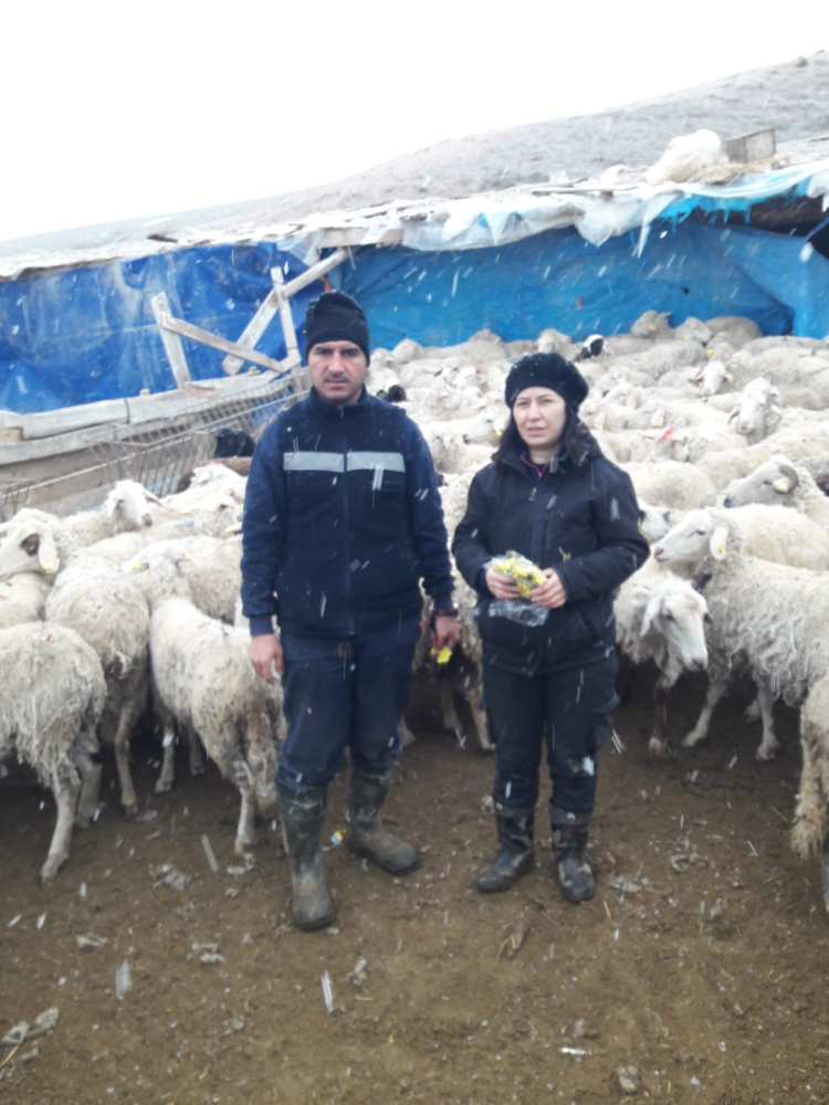 Hayvan Hastalık ve Zararlıları ile Mücadele 