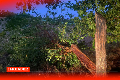 Osmaniye Düziçi'nde fırtına ve kuvvetli sağanak: Köy tabelaları ve ağaçlar kökünden söktü