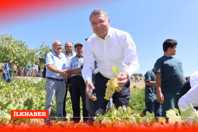 Silifke’de üzüm hasadı başladı