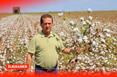 Adana’da ‘Beyaz Altın’ hasadı başladı