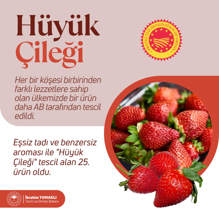 hüyük çileği