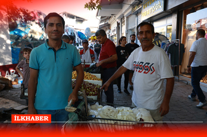 Hatay'lı esnaflar kuş dili ile anlaşıyor