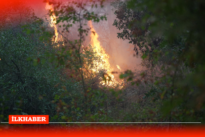 Kocaeli’nde orman yangını 3 saatte kontrol altına alındı