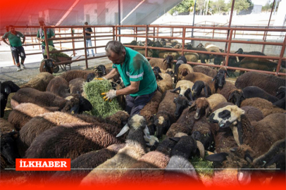 Mersin’in ‘Hadi Gel Köyümüze Destek Verelim’ projesi üreticiler işletme sahibi oluyor