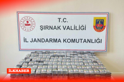 Şırnak'ta kaçakçılık operasyonlarında 26 kişi gözaltına alındı