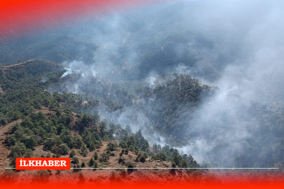 Hatay'daki orman yangını kontrol altına alındı, soğutma çalışmalarına başlandı