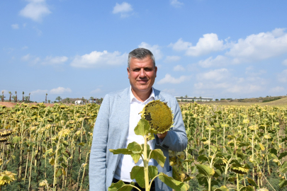 Ayhan Barut’tan Ayçiçeği ithalatına tepki: İthalat sevdası yerli üreticiyi mağdur ediyor