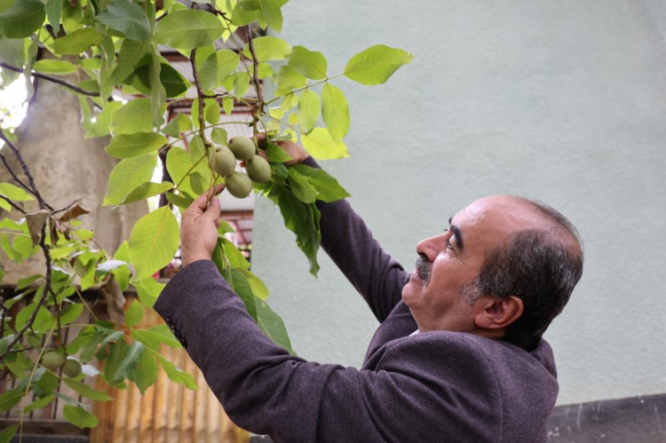  Mehmet Sütyemez