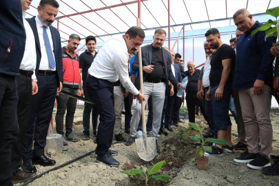 Hatay’da üretici kardeşlerin muz serası törenle açıldı