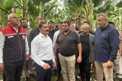 Hatay Arsuz'da depremzedeler üretimle yara sarıyor