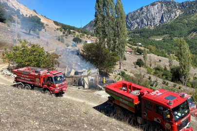 Adana Feke'de müstakil evdeki yangın ormana sıçramadan söndürüldü