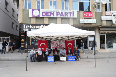 Muş'ta aileler, PKK'nın pençesindeki çocukları için eylemde