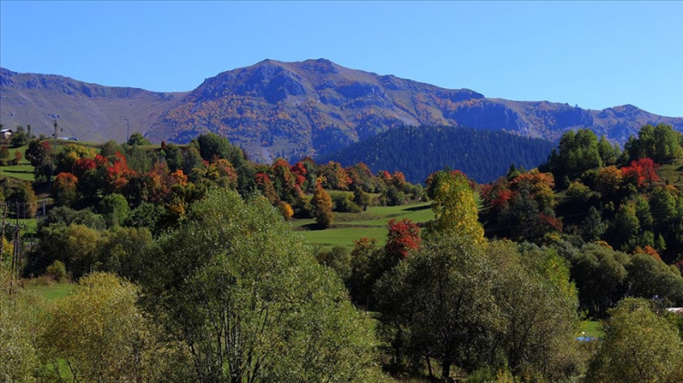 artvin şavşat