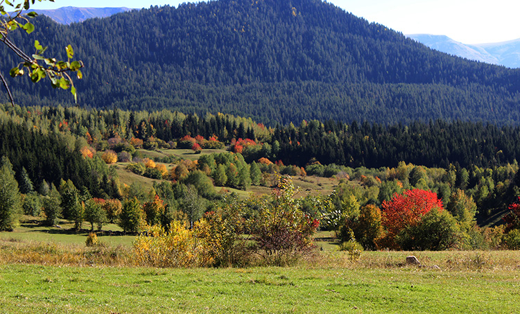 artvin şavşat