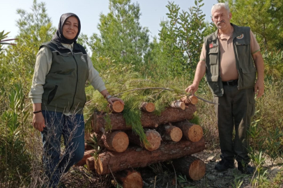 Orman zararlılarına karşı mekanik mücadele