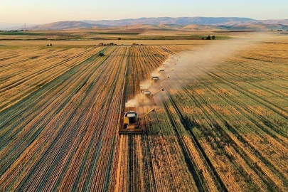 Tarım ve Orman Bakanlığı'ndan çiftçilere 185 milyon liralık destek ödemesi