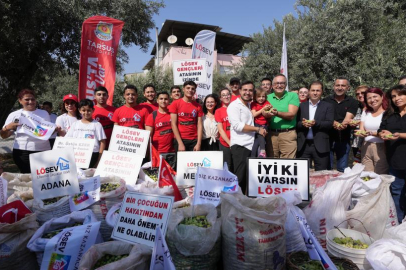 Tarsus'ta lösemili çocuklar için anlamlı zeytin hasadı etkinliği