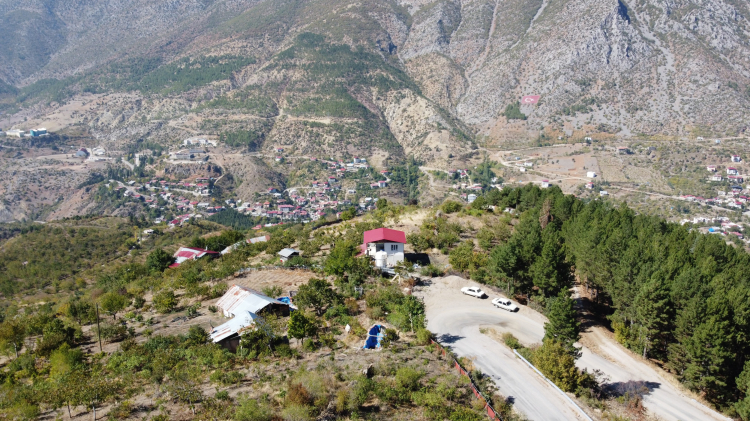 Adana Saimbeyli'de bir ilk Sumakçı Dedenin aşılı sumağı dünyada ilgi gördü 3