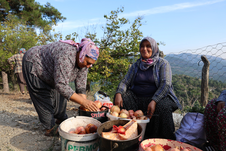 kuytucak narı