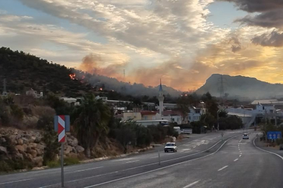 Mersin Bozyazı'da çıkan orman yangını seralara ulaşmadan söndürüldü